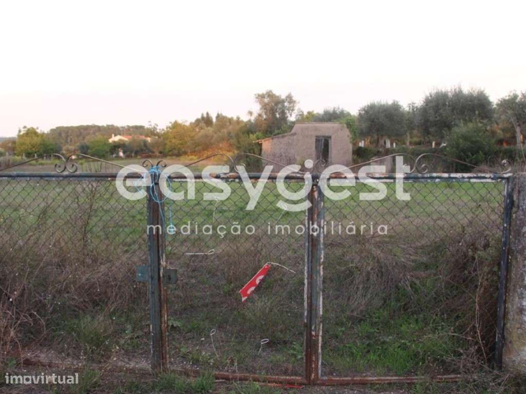 Terreno para construção,com 3686 m2 em Orelhudo-Cernache. - Grande imagem: 2/10