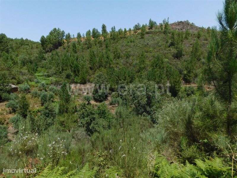 Quinta / Fundão, Lavacolhos - Grande imagem: 5/11