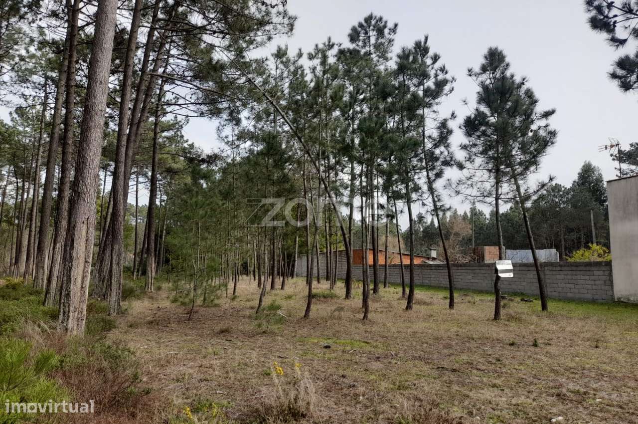 terreno rústico Brejo d'agua - Grande imagem: 3/21