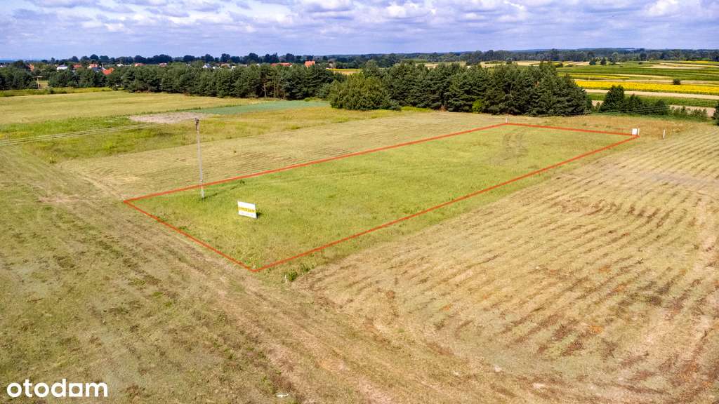 Działka budowlana 25ar (Wz) Gniewczyna Tryniecka - Pełny obrazek: 4/13