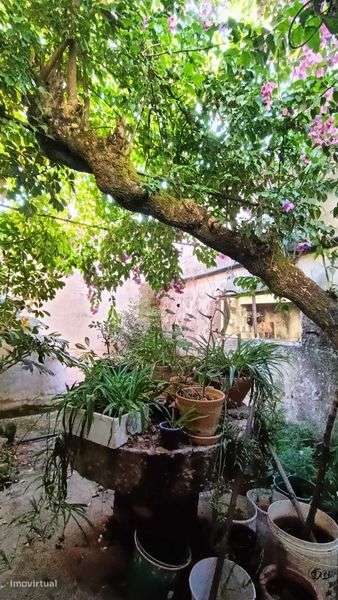 Propriedade rural encantadora perto de Tomar e Fátima - Grande imagem: 4/10