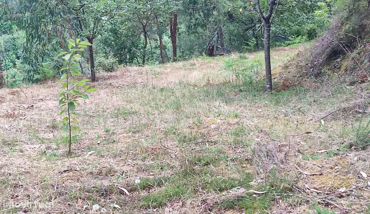 Terreno com ruina para restauro em Pandozes, Vieira do Minho