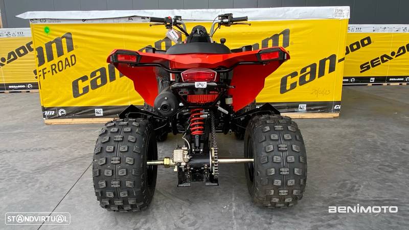 Bombardier CAN AM DS 250 - 7