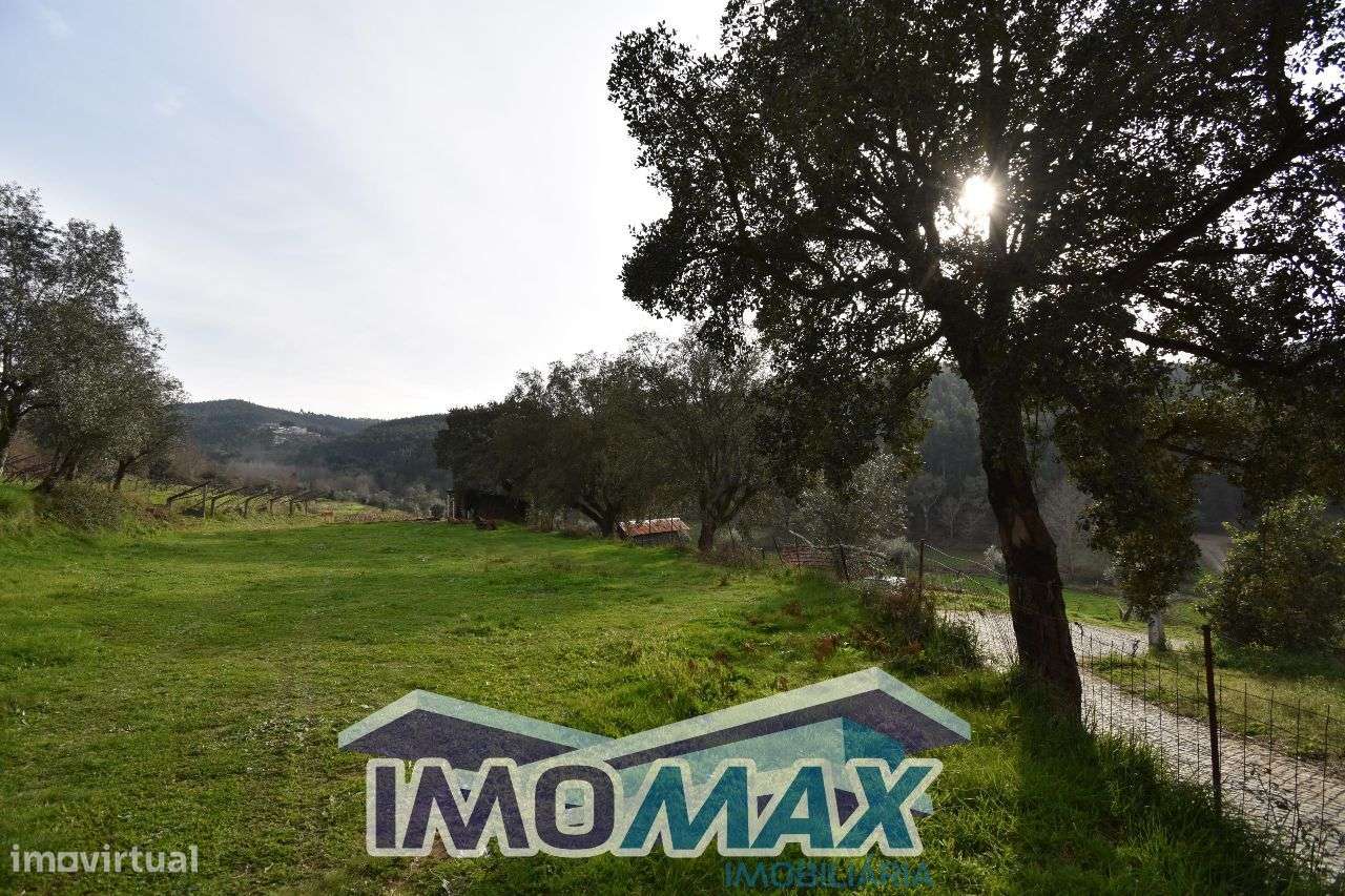 Campo dos Padrões - Capela,Penafiel - Grande imagem: 4/5