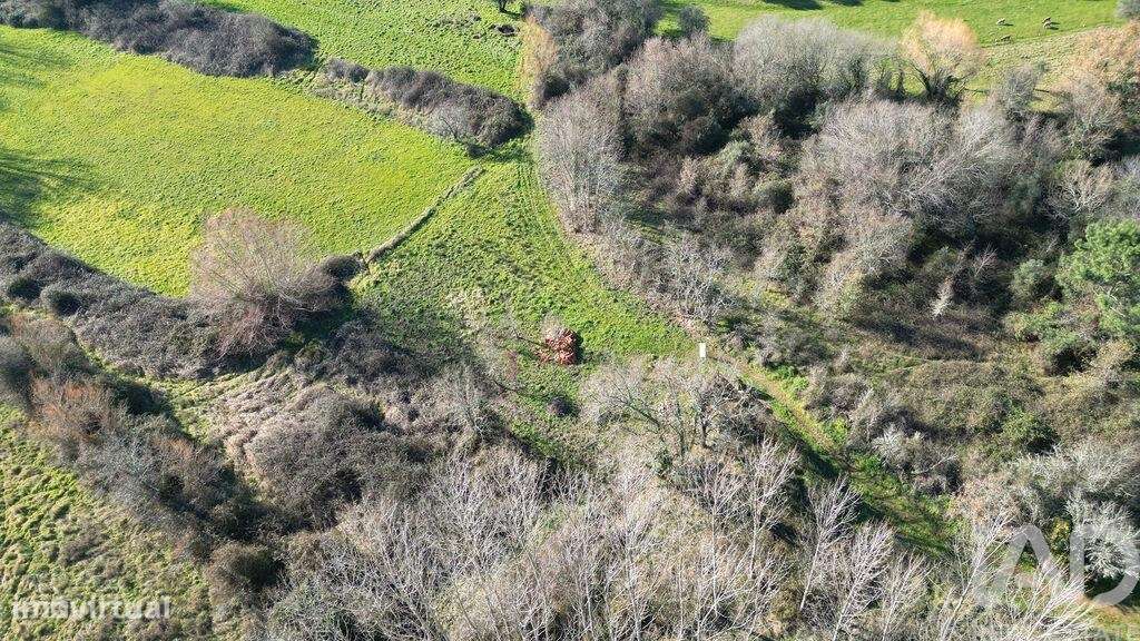 Terreno Agrícola em Espinhal - Grande imagem: 5/23