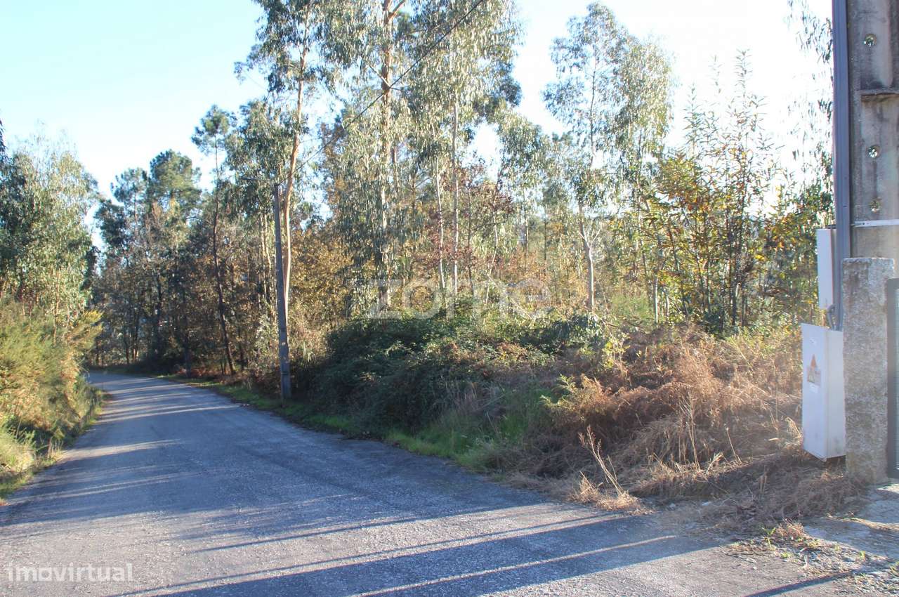 Terreno Rústico para Venda em Gémeos, Guimarães - Grande imagem: 4/14
