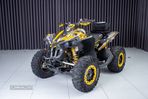 Can-Am Renegade 800r - 4