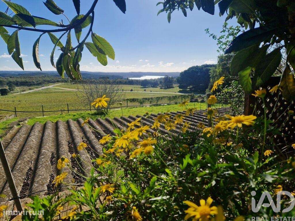 Casa / Villa T5 em Nadadouro de 320,00 m2 - Grande imagem: 3/30