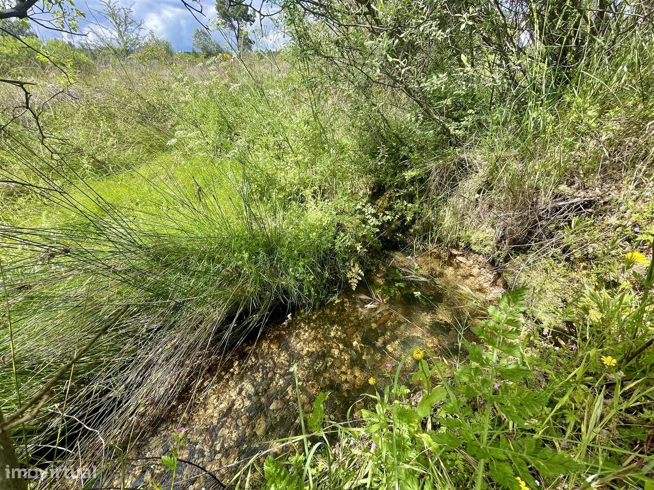 Terreno Rústico  Venda em Sarzedas,Castelo Branco - Grande imagem: 3/19