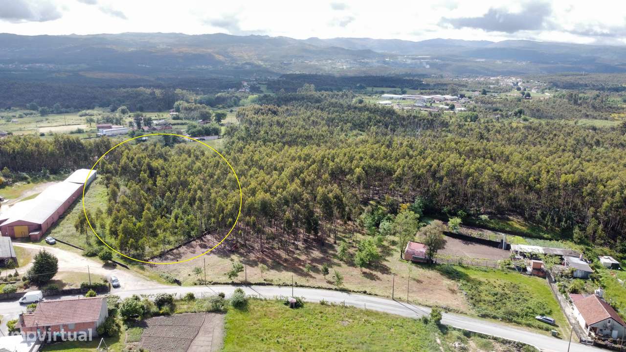 Terreno p/ construção - Oliveira de Frades - Grande imagem: 4/6