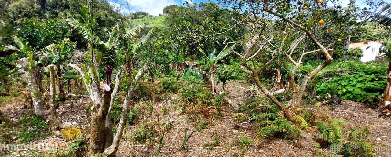 T3 c/Marquise| Flamengos-38