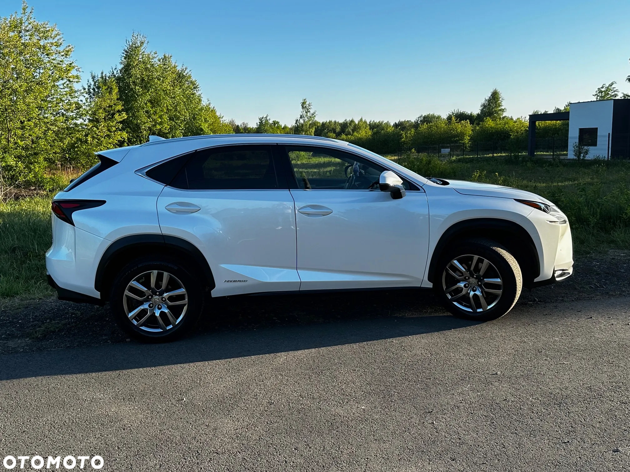 Lexus NX - 8