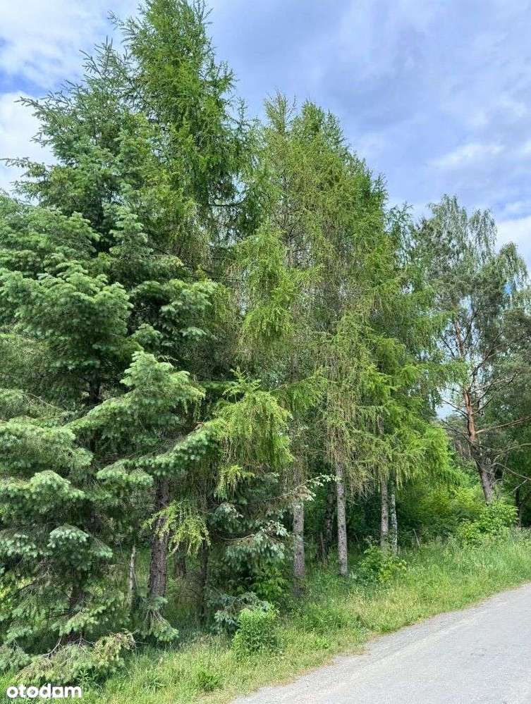 20 km do centrum Warszawy - Pełny obrazek: 5/20