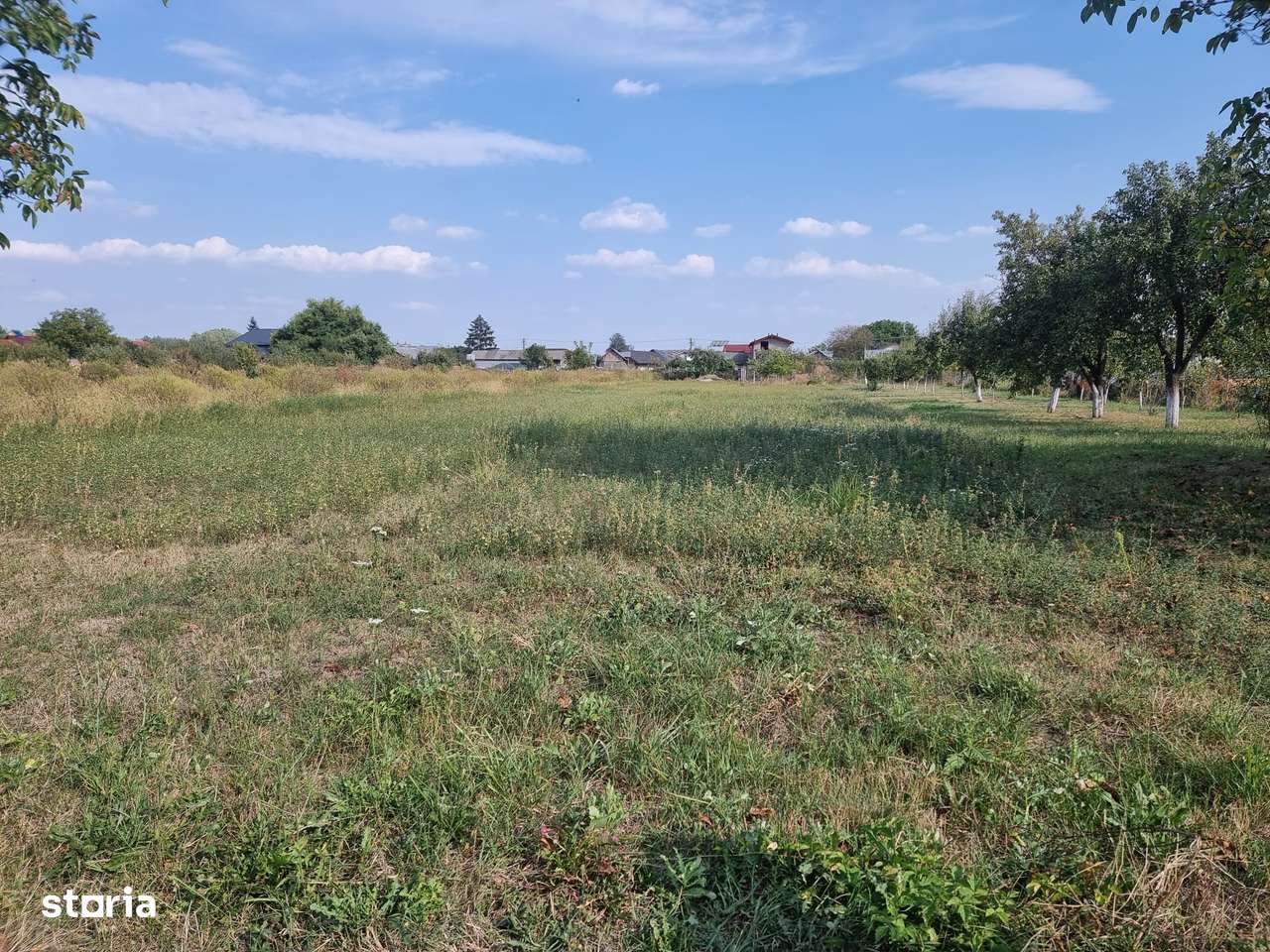 Casa in Dimoiu - Ulmi-15