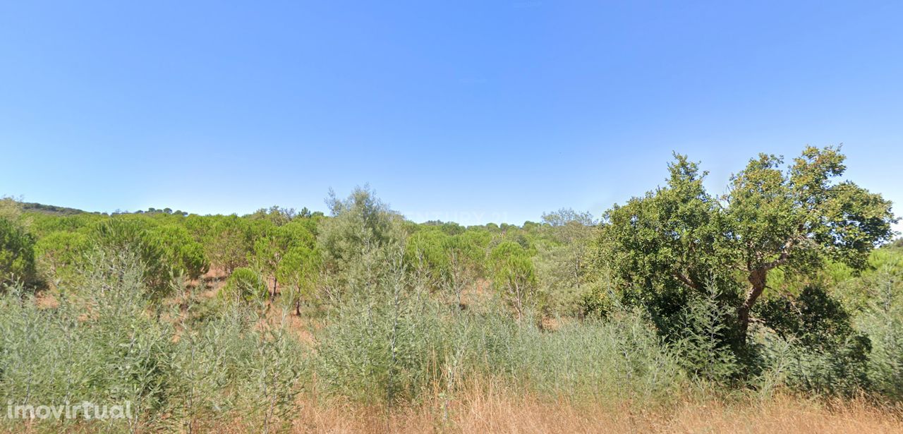 Herdade Raco de Baixo - S. Luís Poente