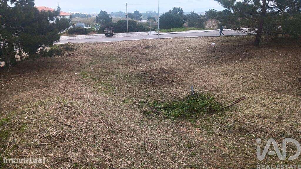 Terreno para construção em Tornada e Salir do Porto de 636,00 m2 - Grande imagem: 3/5