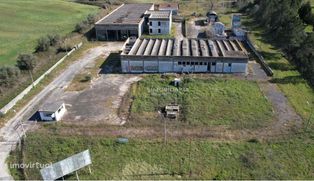 Armazéns - Instalações Industriais/Agrícolas