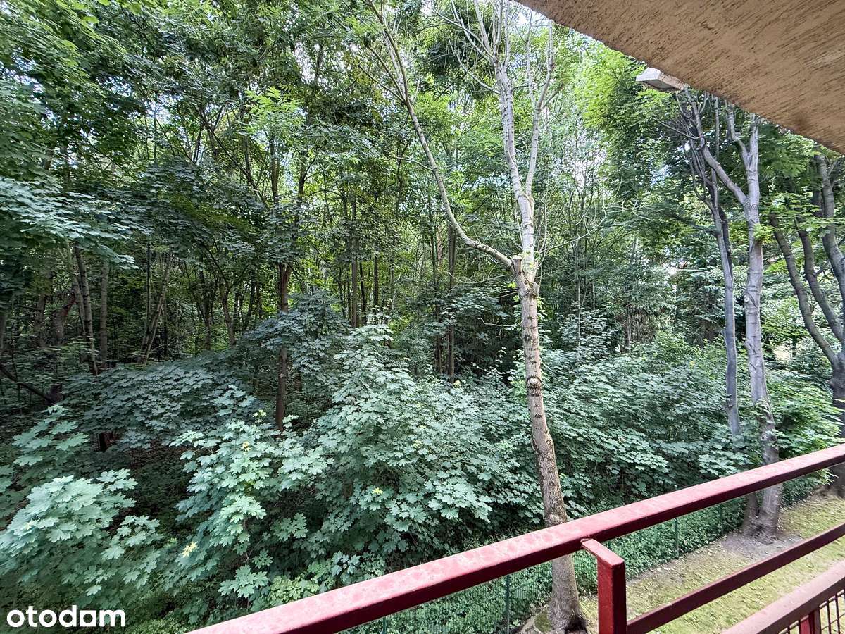 Mieszkanie 3 pokojowe| ul. Siostrzana, Wrocław-12