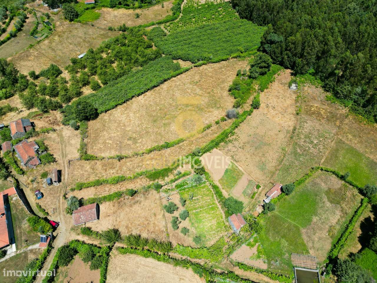 Quinta T4 Venda em Fornelos,Cinfães-5