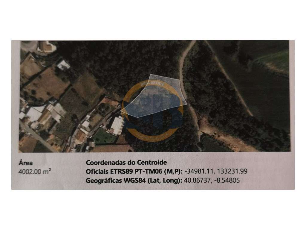 Terreno Construção São Vicente Pereira Jusã - Grande imagem: 4/4