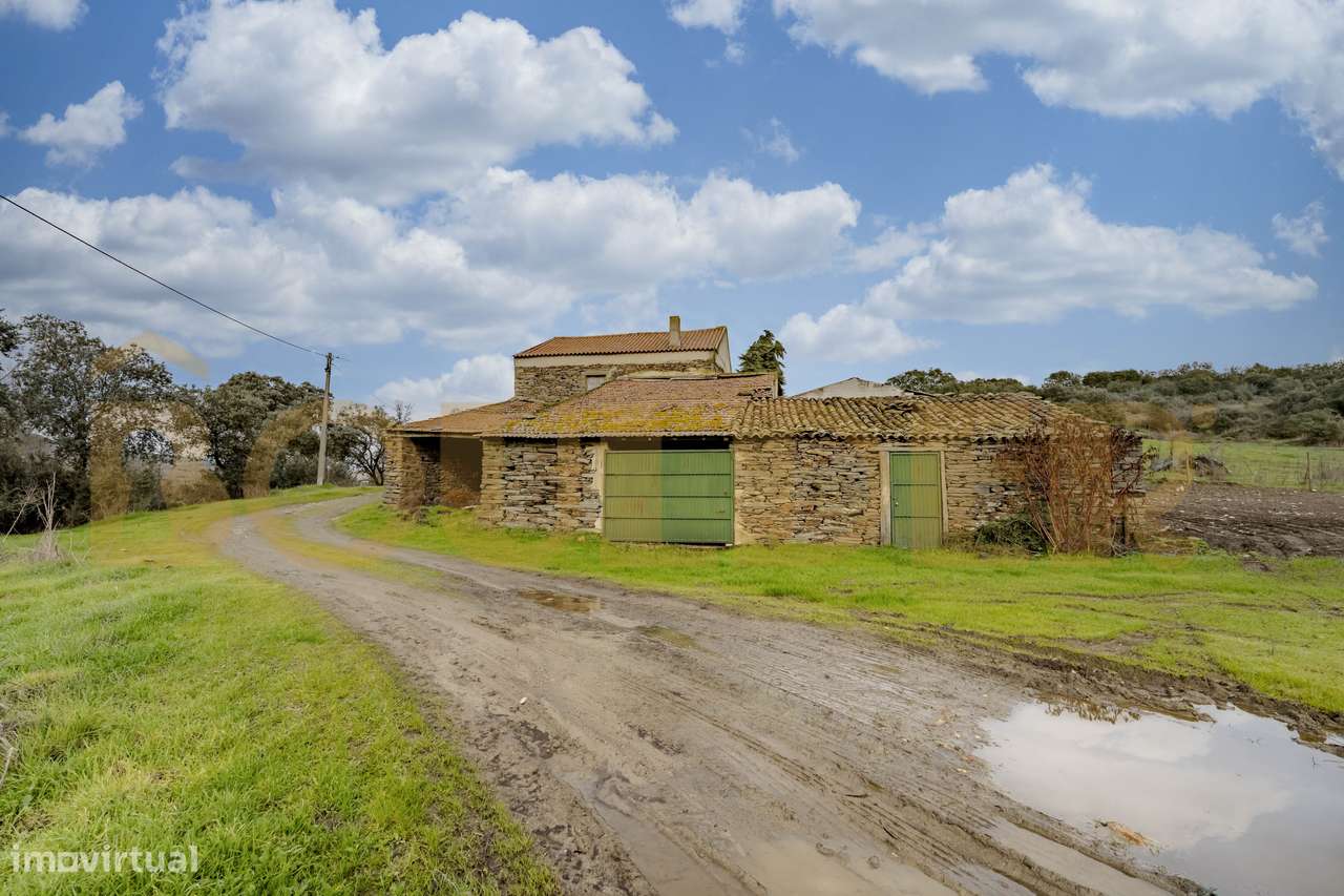 Quinta do Arieiro - Cedovim | Vila Nova de Foz Côa | Douro Superior-21