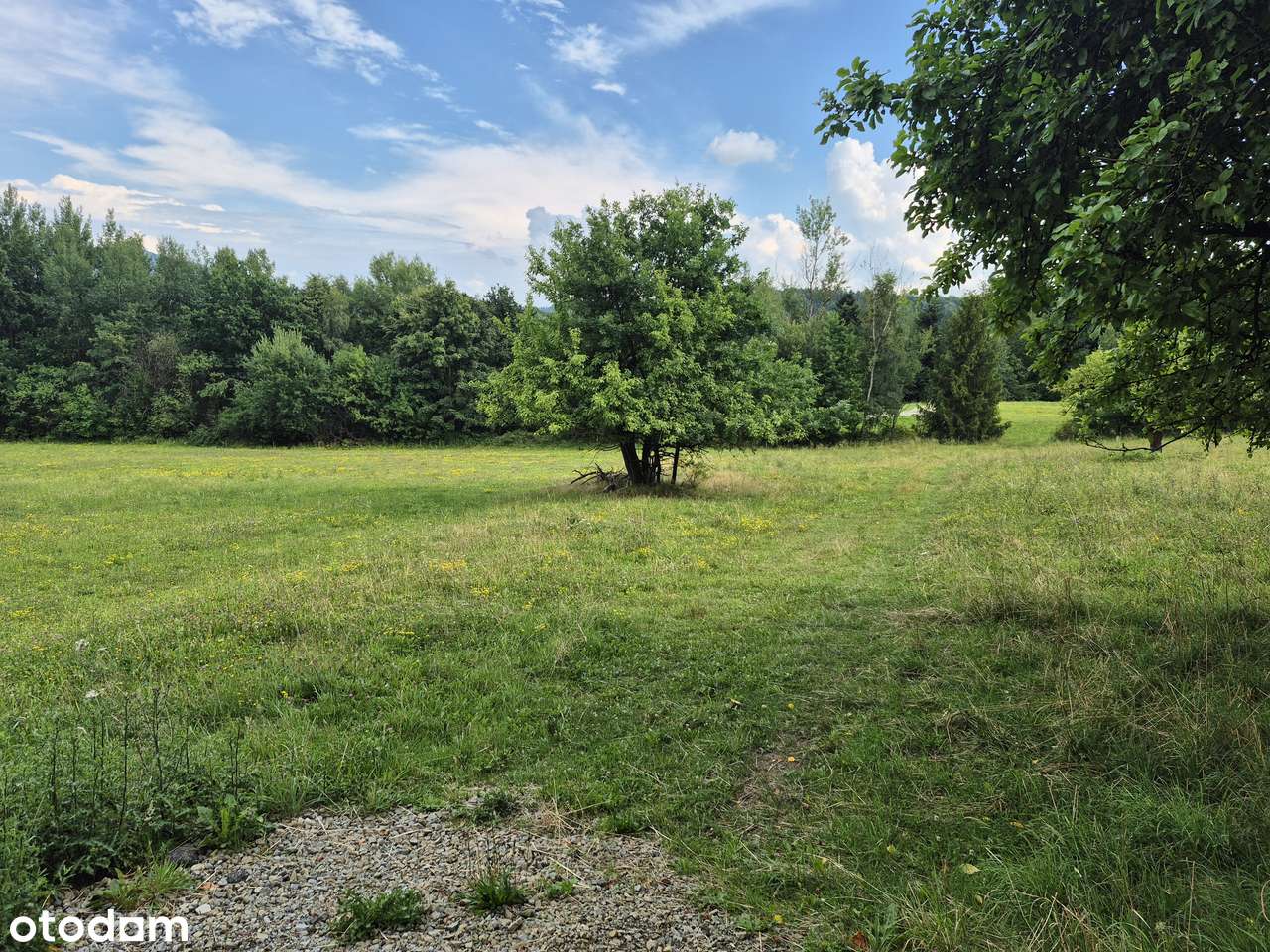 Działka, 4 000 m², Stare Rybie - Pełny obrazek: 3/5