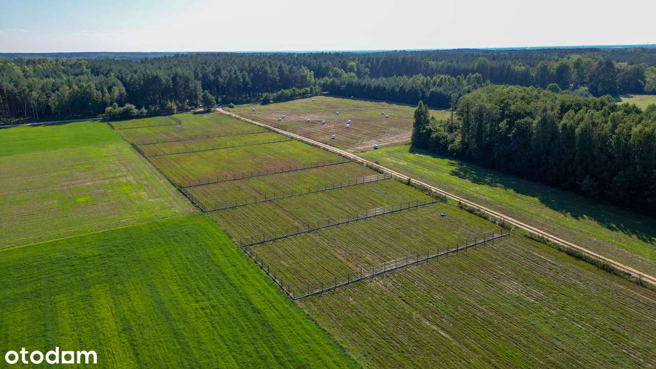 Bardzo ładne działki budowlane niedaleko Wyszkowa-3