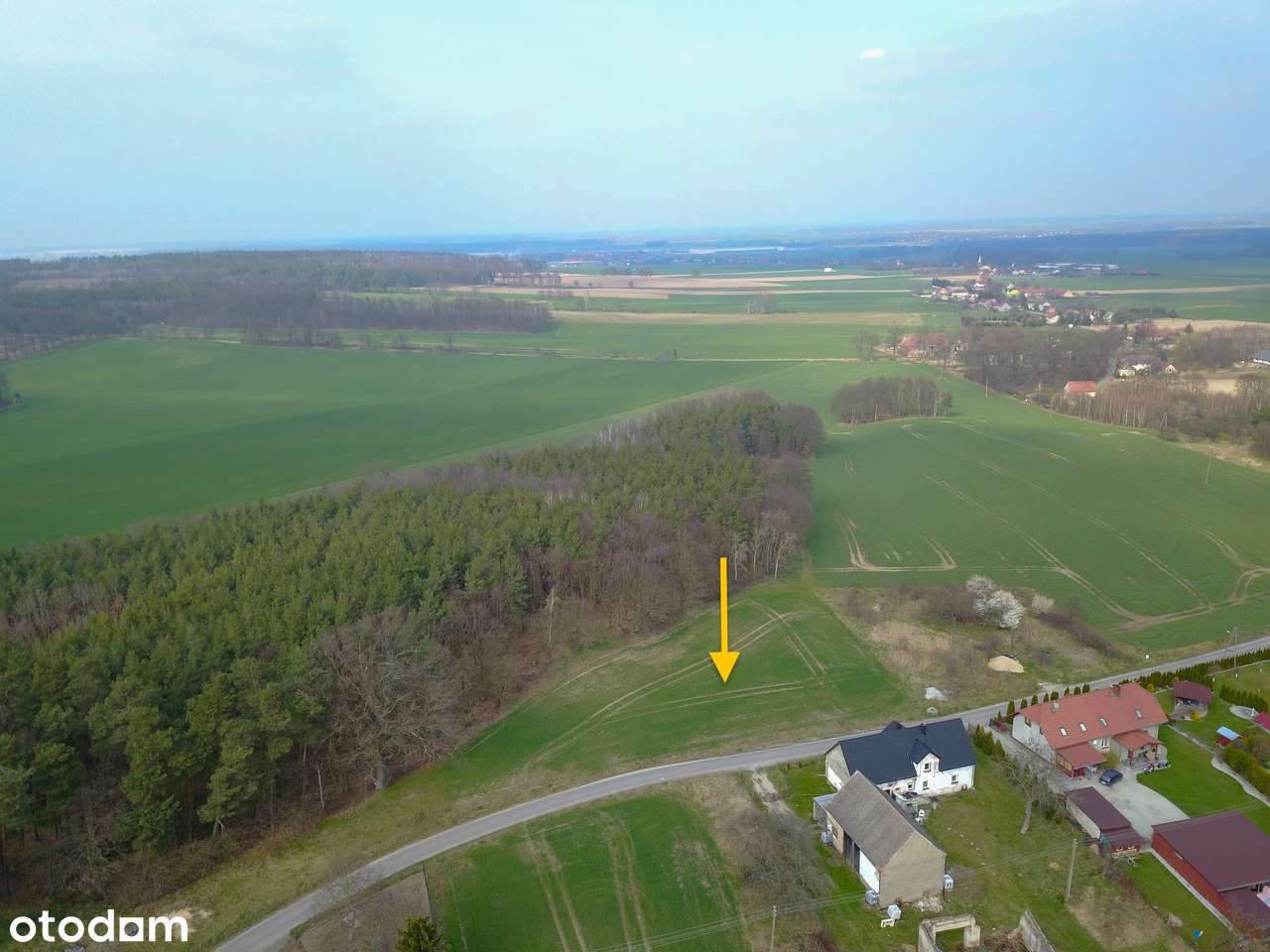 Chojnów, Okmiany, Okmiany - Pełny obrazek: 3/5