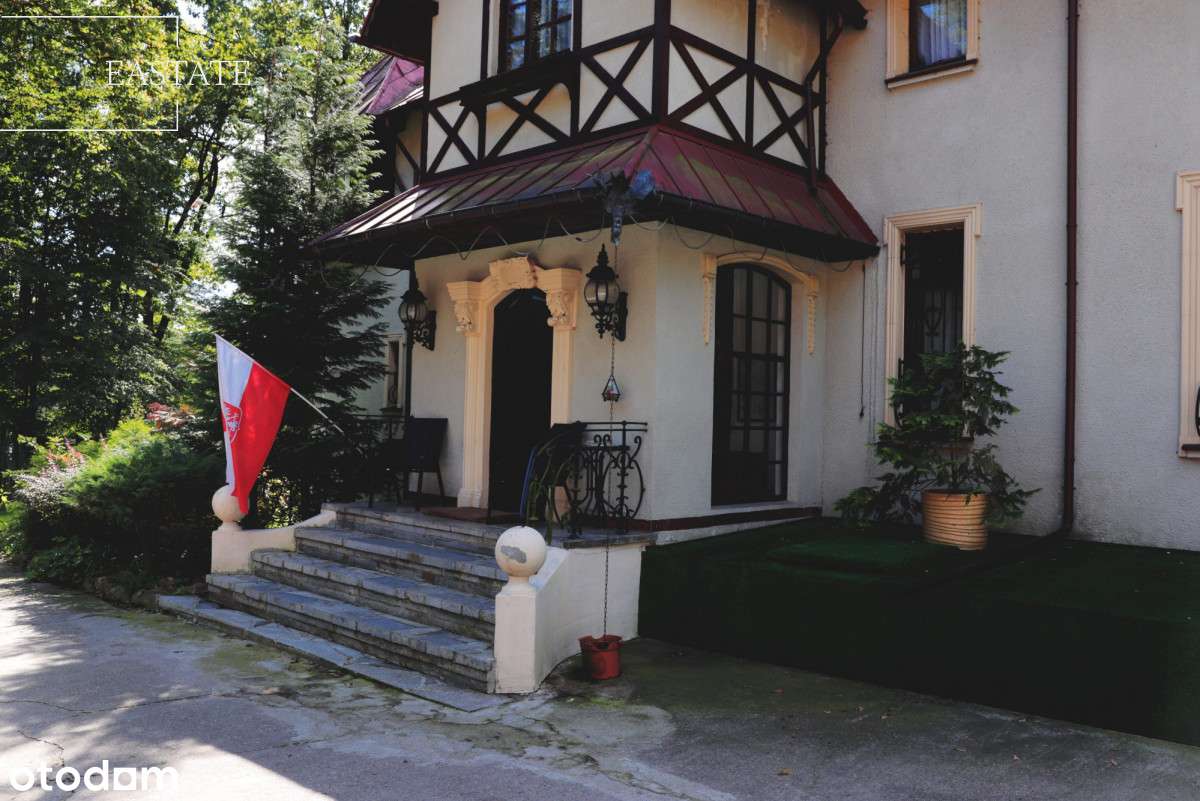 Zabytkowy pałacyk z wieloma możliwościami - Pełny obrazek: 4/16