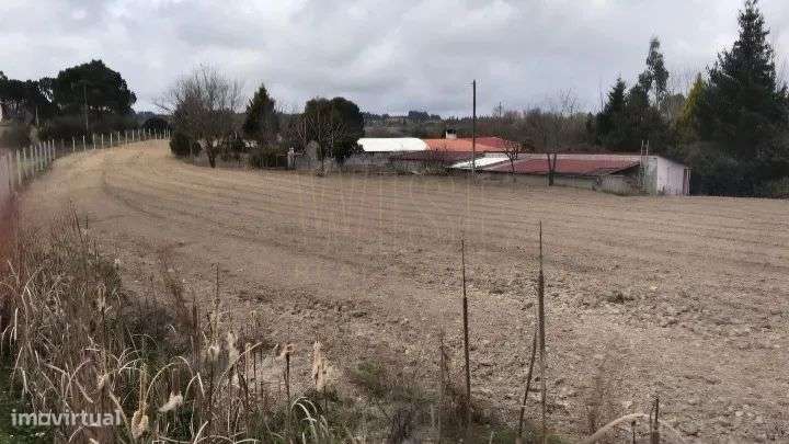 Terreno Rústico - Rio Torto e Lagarinhos - Gouveia-14