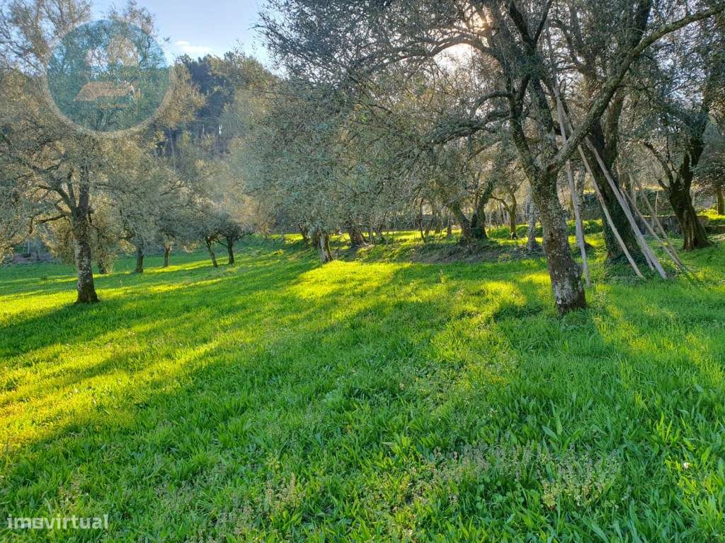 Quinta à venda, localizada no Lugar de Água Redonda, Cabeceiras de ...-24