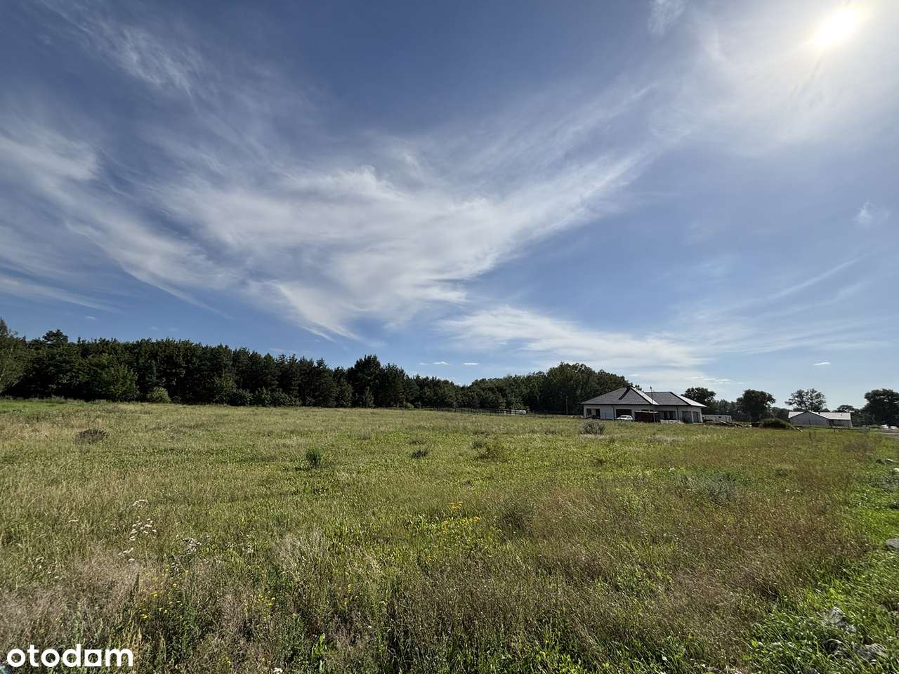 Bliskość jeziora, lasu i miasta – idealne działki - Pełny obrazek: 3/8