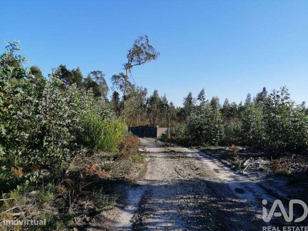 Terreno em Monte Real e Carvide de 140000,00 m2 - Grande imagem: 5/13