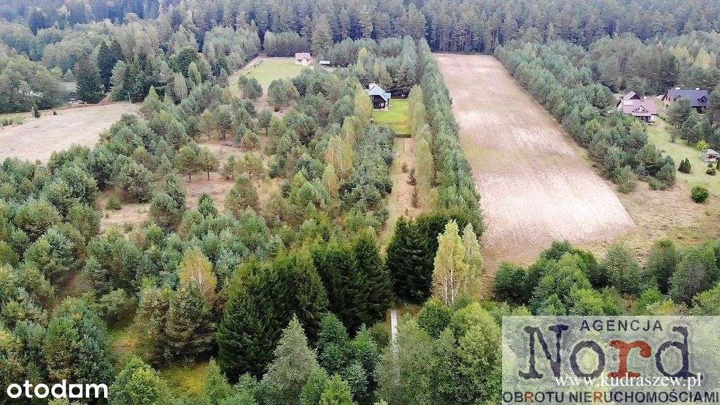 Działka, Linia Brzegowa Czarna Hańcza, - Pełny obrazek: 5/14