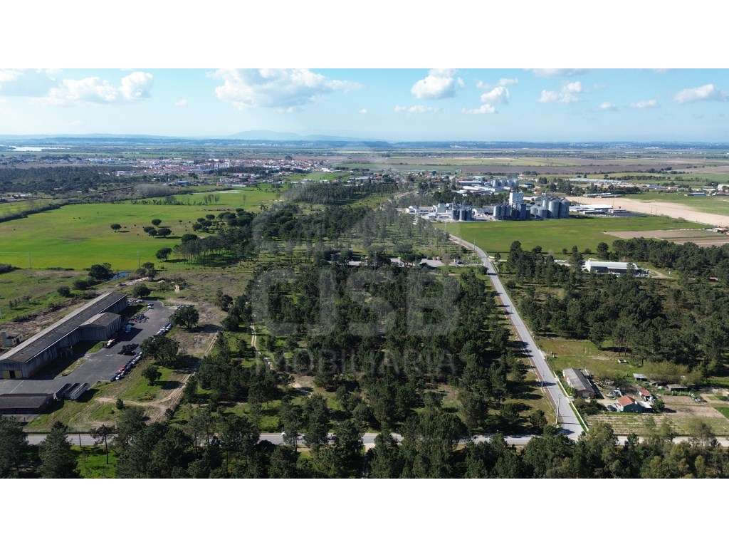 Oportunidade - 5 ha | Zona Industrial Salvaterra de Magos-2
