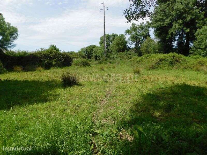 Terreno Rústico / Fundão, Orca - Grande imagem: 5/6