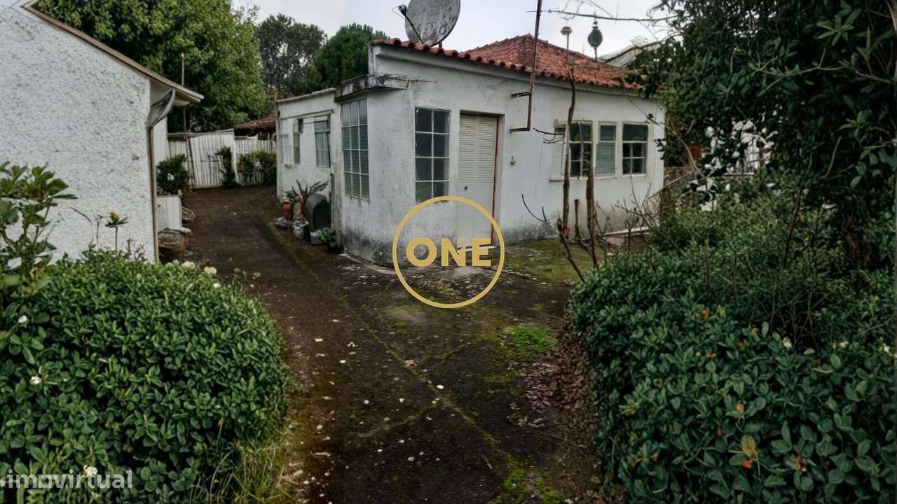 Quinta com 5120 m2 para recuperar em Valhelhas, Torres Novas - Grande imagem: 4/23