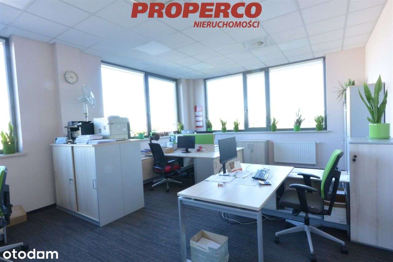 Hala wysokiego składowania, Bilcza, gm. Morawica - Pełny obrazek: 5/11