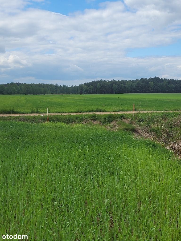 Działka budowlana blisko zalewu w Kobylej Górze