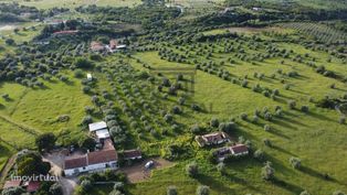 Moradia em Ruinas inserida num terreno com 3 hectares