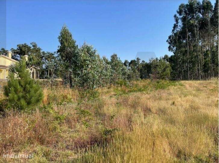 Terreno Rústico com Potencial Urbano na Figueira da Foz - Grande imagem: 4/10