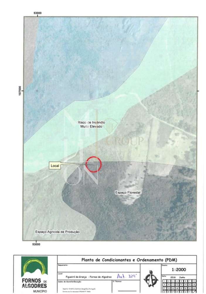 Terreno de Pinhal, Carvalhos e Oliveiras-  329 - Grande imagem: 3/3