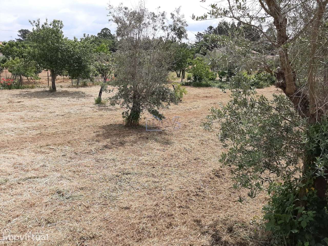 Terreno para construção na Vila de Ferreira do Zêzere-9