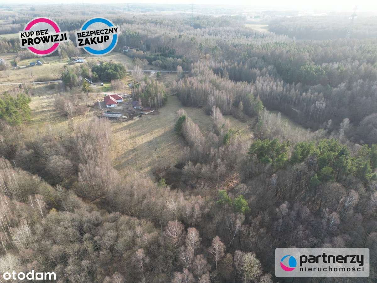 Wyjątkowe miejsce!/dla Konesera/ Graniczna Wieś - Pełny obrazek: 5/6