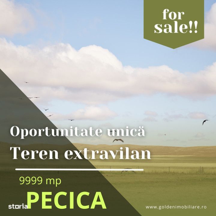 Oportunitate unica! Teren extravilan, 9999 mp, Pecica