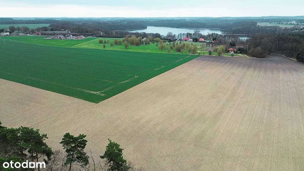 Twoja enklawa wśród lasu i jezior-0