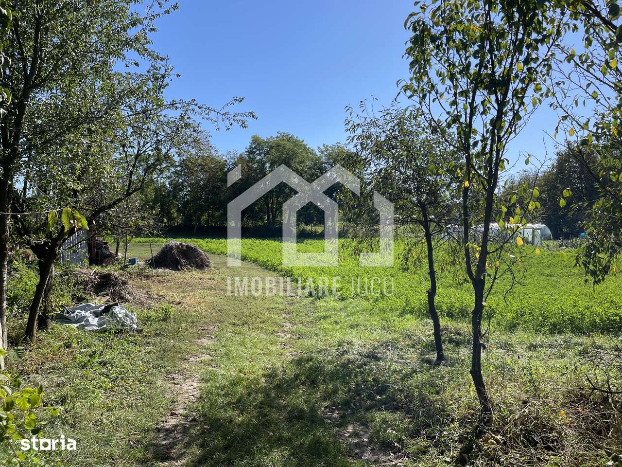 Teren Intravilan 1000mp - Jucu de Sus - Imagine principală: 4/5