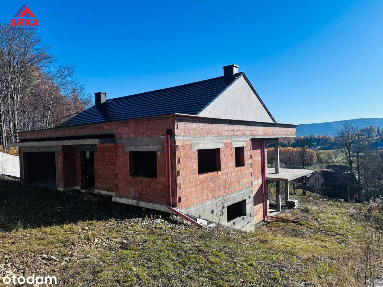 Las za plecami | Widok na Tatry - Pełny obrazek: 4/20