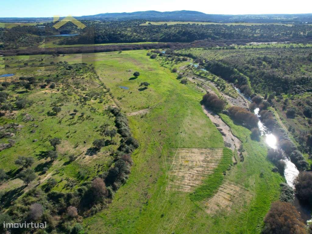 Propriedade com 24ha à beira rio. - Grande imagem: 5/33