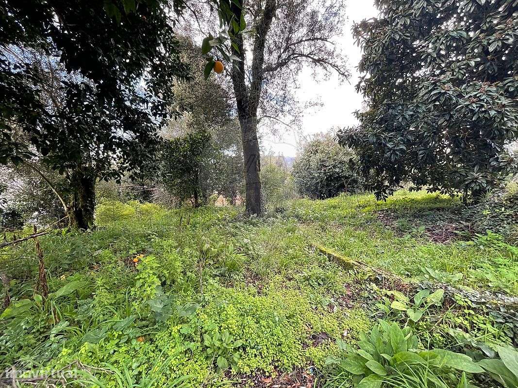 Terreno  para venda - Grande imagem: 3/21